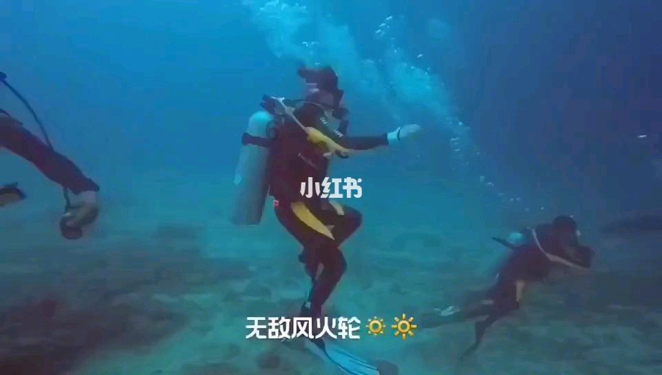 火锅都有什么食材？
